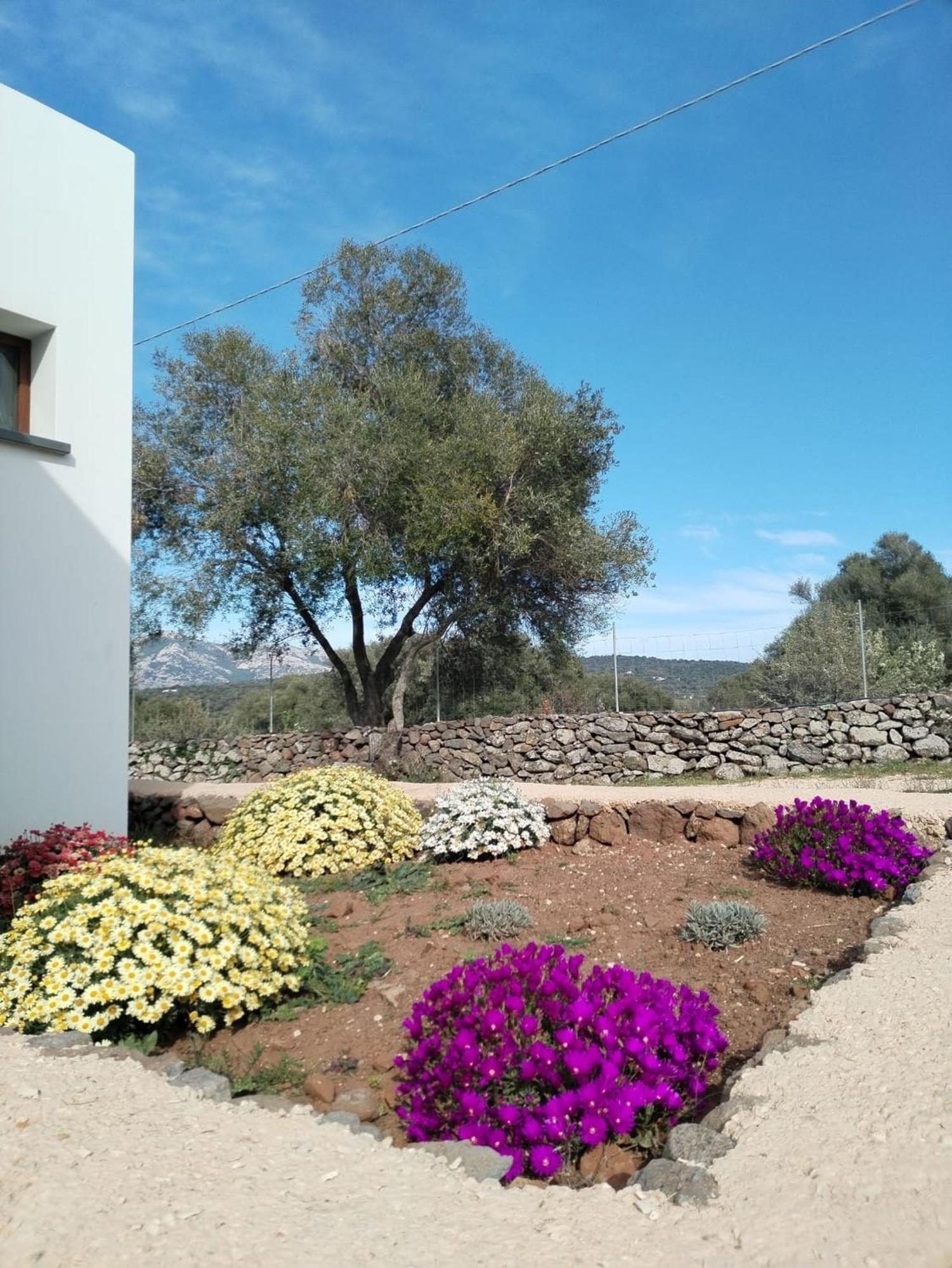 Farmhouse La Croisette - Agriturismo Dorgali Exterior photo